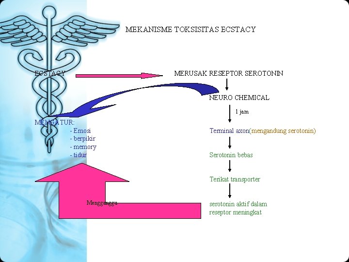 MEKANISME TOKSISITAS ECSTACY MERUSAK RESEPTOR SEROTONIN NEURO CHEMICAL 1 jam MENGATUR: - Emosi -