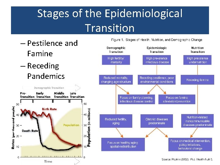 Stages of the Epidemiological Transition – Pestilence and Famine – Receding Pandemics – Degenerative