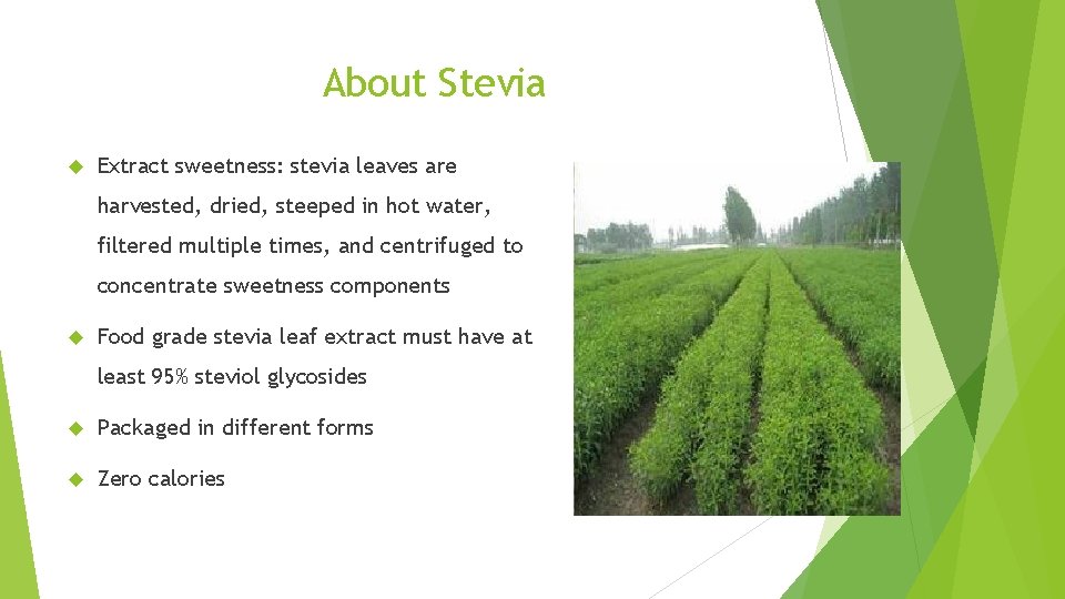 About Stevia Extract sweetness: stevia leaves are harvested, dried, steeped in hot water, filtered