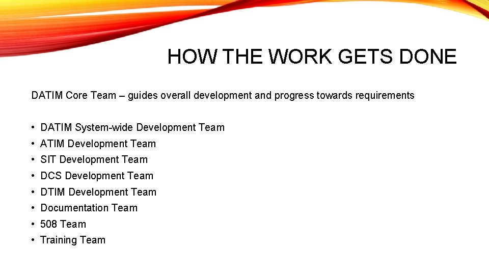 HOW THE WORK GETS DONE DATIM Core Team – guides overall development and progress