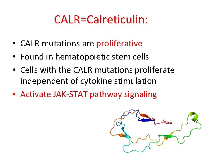 CALR=Calreticulin: • CALR mutations are proliferative • Found in hematopoietic stem cells • Cells