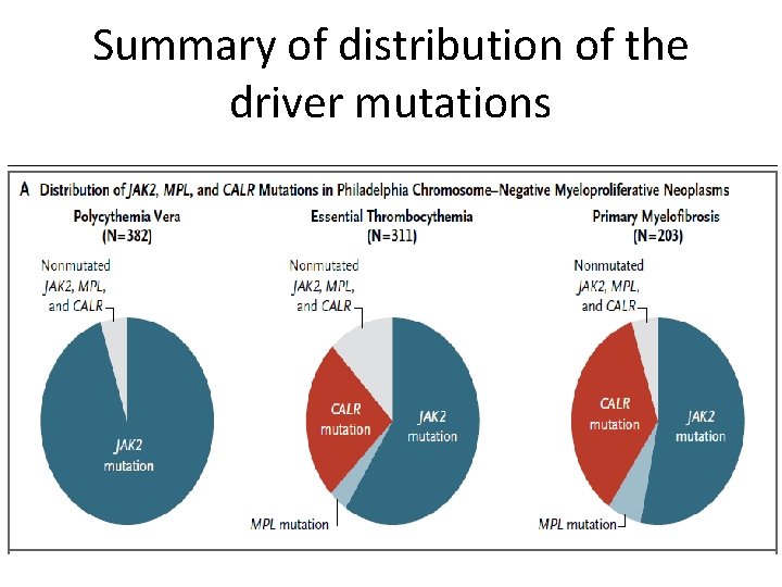 Summary of distribution of the driver mutations 