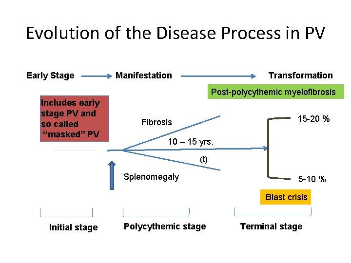 Evolution of the Disease Process in PV Early Stage Manifestation Transformation Post-polycythemic myelofibrosis Includes