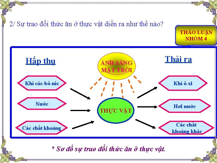 2/ Sự trao đổi thức ăn ở thực vật diễn ra như thế nào?