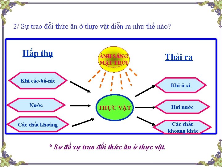 2/ Sự trao đổi thức ăn ở thực vật diễn ra như thế nào?