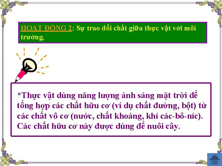 HOẠT ĐỘNG 2: Sự trao đổi chất giữa thực vật với môi trường. *Thực