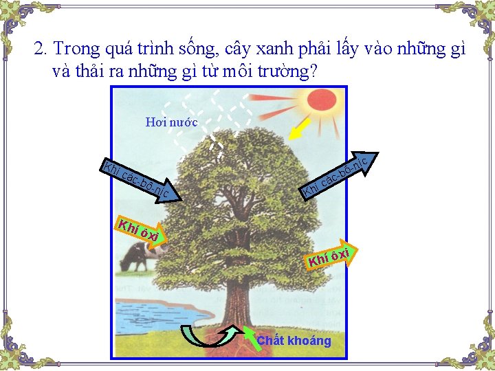 2. Trong quá trình sống, cây xanh phải lấy vào những gì và thải