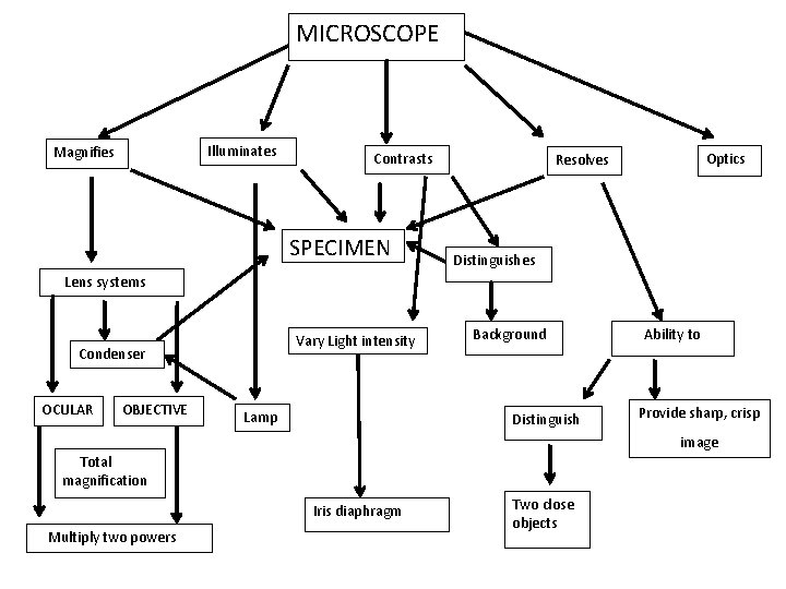 MICROSCOPE Illuminates Magnifies Contrasts SPECIMEN Optics Resolves Distinguishes Lens systems Vary Light intensity Condenser