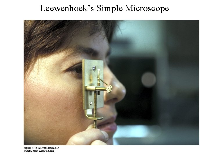Leewenhoek’s Simple Microscope 