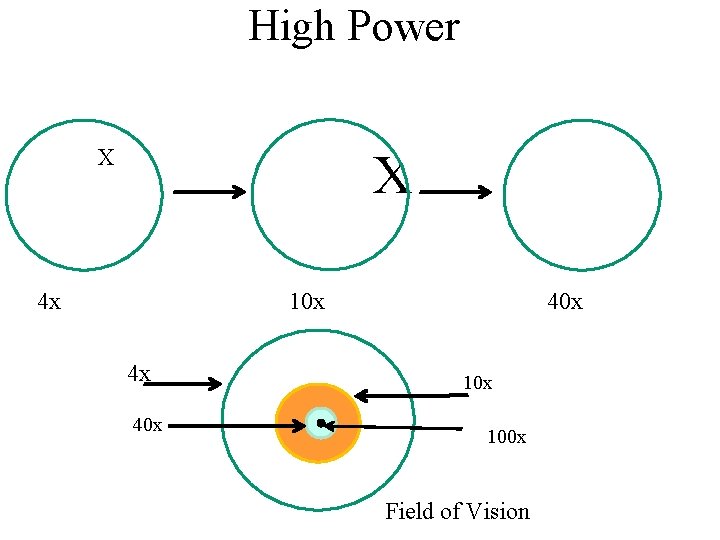 High Power X X 4 x 10 x 4 x 40 x 100 x