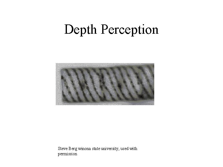 Depth Perception Steve Berg winona state university, used with permission 