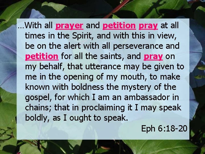 …With all prayer and petition pray at all times in the Spirit, and with