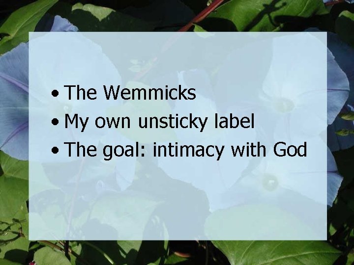  • The Wemmicks • My own unsticky label • The goal: intimacy with