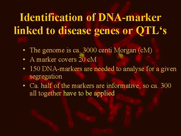 Identification of DNA-marker linked to disease genes or QTL‘s • The genome is ca.