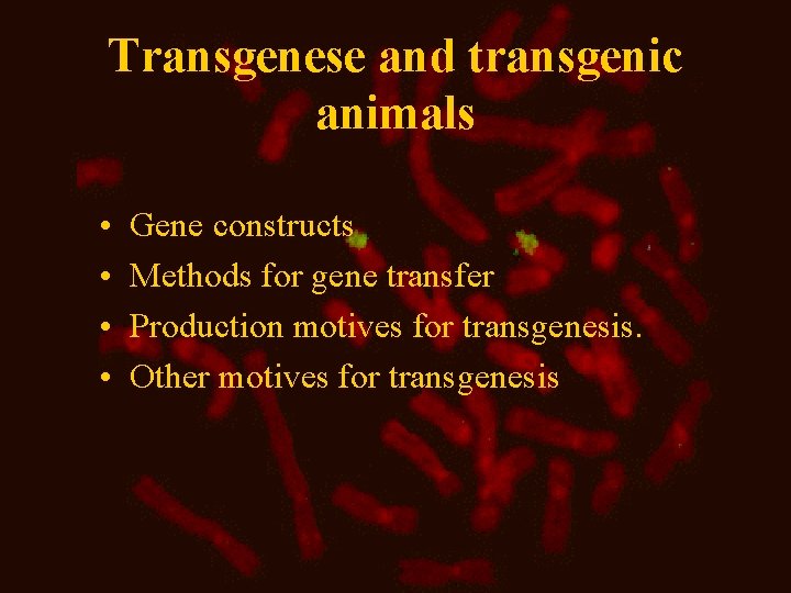 Transgenese and transgenic animals • • Gene constructs Methods for gene transfer Production motives