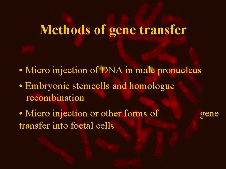 Methods of gene transfer • Micro injection of DNA in male pronucleus • Embryonic