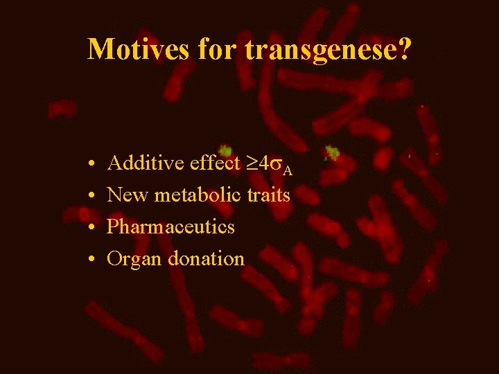 Motives for transgenese? • • Additive effect 4 A New metabolic traits Pharmaceutics Organ