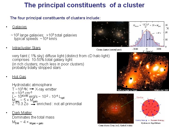 The principal constituents of a cluster The four principal constituents of clusters include: •