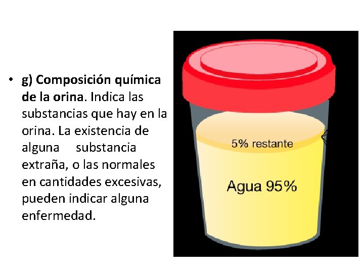  • g) Composición química de la orina. Indica las substancias que hay en