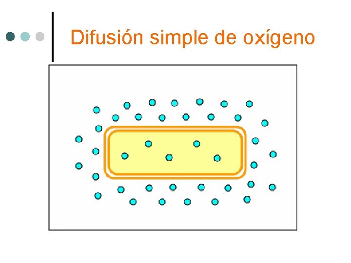 Difusión simple de oxígeno 