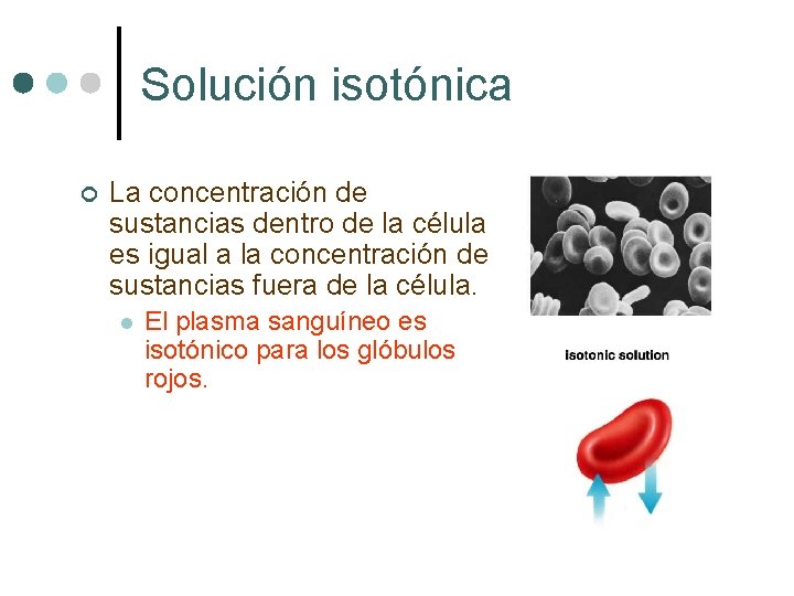 Solución isotónica ¢ La concentración de sustancias dentro de la célula es igual a