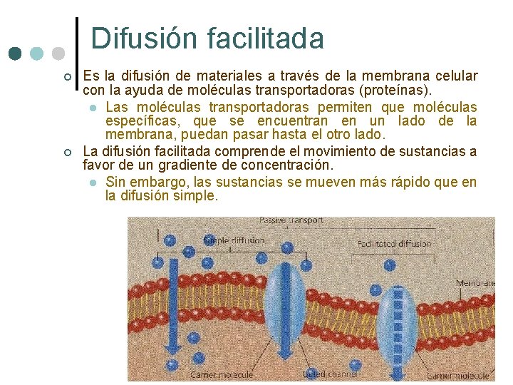 Difusión facilitada ¢ ¢ Es la difusión de materiales a través de la membrana