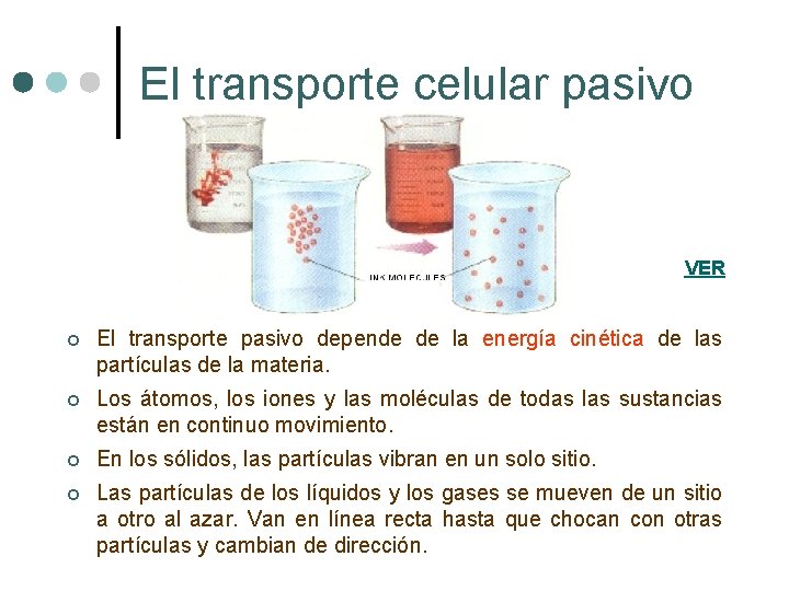 El transporte celular pasivo VER ¢ El transporte pasivo depende de la energía cinética