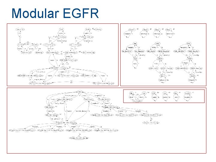 Modular EGFR Modular EGFR