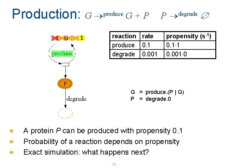 Production: G produce G + P 1 reaction rate produce 0. 1 degrade 0. Production: G produce G + P 1 reaction rate produce 0. 1 degrade 0.