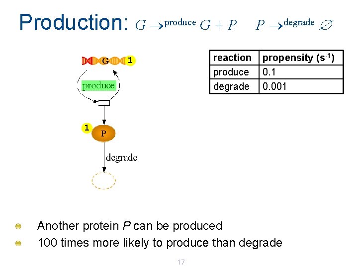 Production: G produce G + P reaction produce degrade 1 P degrade propensity (s-1) Production: G produce G + P reaction produce degrade 1 P degrade propensity (s-1)