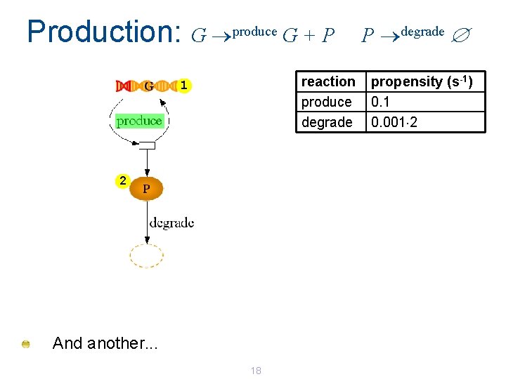Production: G produce G + P reaction produce degrade 1 2 And another. . Production: G produce G + P reaction produce degrade 1 2 And another. .