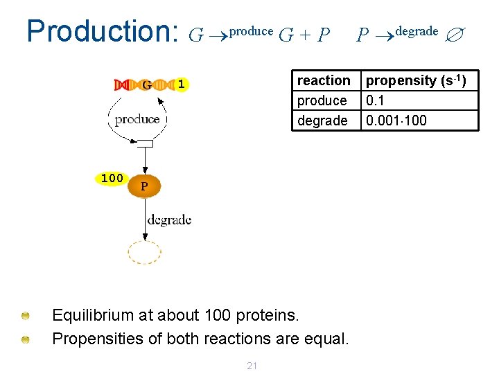 Production: G produce G + P reaction produce degrade 1 100 Equilibrium at about Production: G produce G + P reaction produce degrade 1 100 Equilibrium at about