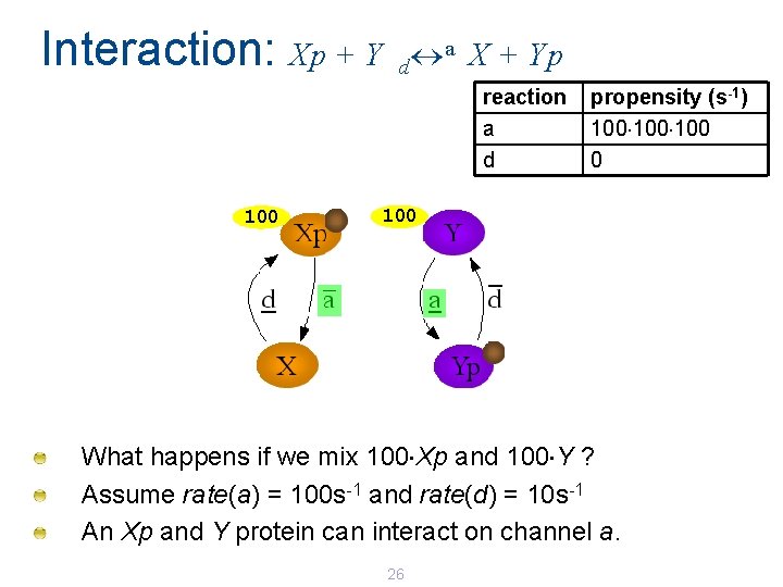 Interaction: Xp + Y a X + Yp d reaction a d 100 propensity Interaction: Xp + Y a X + Yp d reaction a d 100 propensity