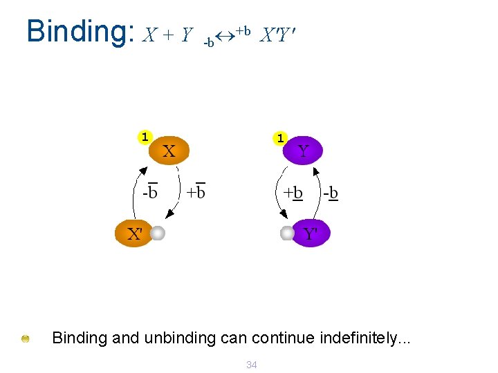 Binding: X + Y +b X'Y' -b 1 1 Binding and unbinding can continue Binding: X + Y +b X'Y' -b 1 1 Binding and unbinding can continue