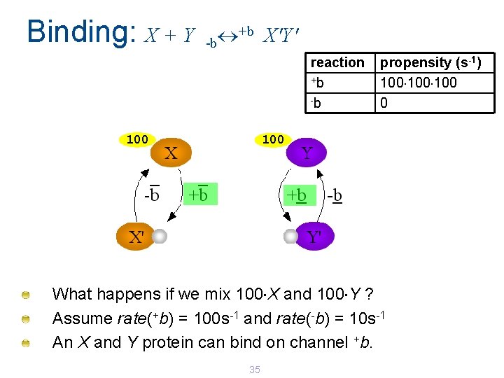 Binding: X + Y +b X'Y' -b reaction +b -b 100 propensity (s-1) 100 Binding: X + Y +b X'Y' -b reaction +b -b 100 propensity (s-1) 100