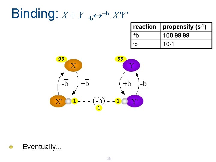 Binding: X + Y +b X'Y' -b reaction +b -b 99 99 1 - Binding: X + Y +b X'Y' -b reaction +b -b 99 99 1 -