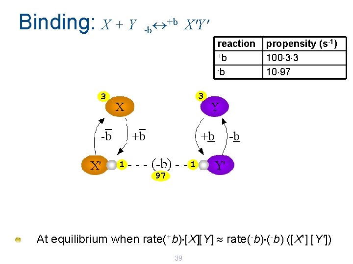 Binding: X + Y +b X'Y' -b reaction +b -b propensity (s-1) 100 3 Binding: X + Y +b X'Y' -b reaction +b -b propensity (s-1) 100 3
