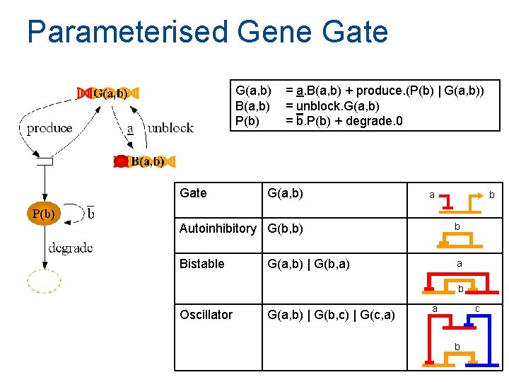 Parameterised Gene Gate G(a, b) B(a, b) P(b) Gate = a. B(a, b) + Parameterised Gene Gate G(a, b) B(a, b) P(b) Gate = a. B(a, b) +