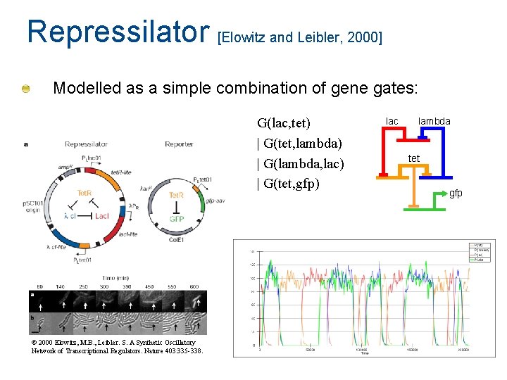 Repressilator [Elowitz and Leibler, 2000] Modelled as a simple combination of gene gates: G(lac,