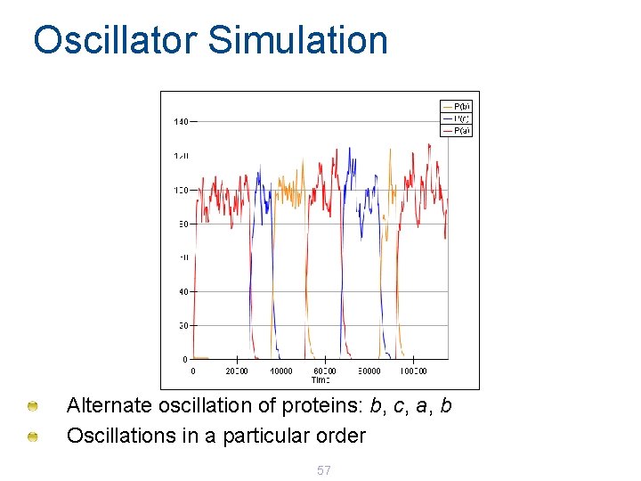 Oscillator Simulation Alternate oscillation of proteins: b, c, a, b Oscillations in a particular Oscillator Simulation Alternate oscillation of proteins: b, c, a, b Oscillations in a particular
