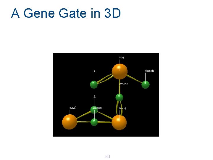 A Gene Gate in 3 D 60 A Gene Gate in 3 D 60