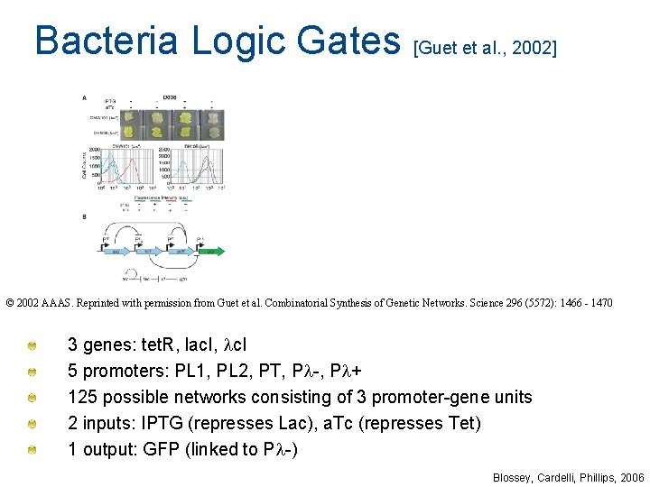 Bacteria Logic Gates [Guet et al. , 2002] © 2002 AAAS. Reprinted with permission