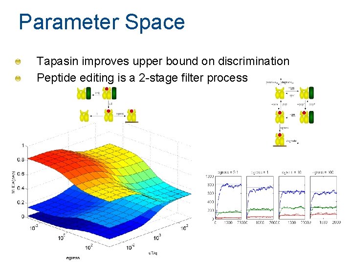 Parameter Space Tapasin improves upper bound on discrimination Peptide editing is a 2 -stage Parameter Space Tapasin improves upper bound on discrimination Peptide editing is a 2 -stage