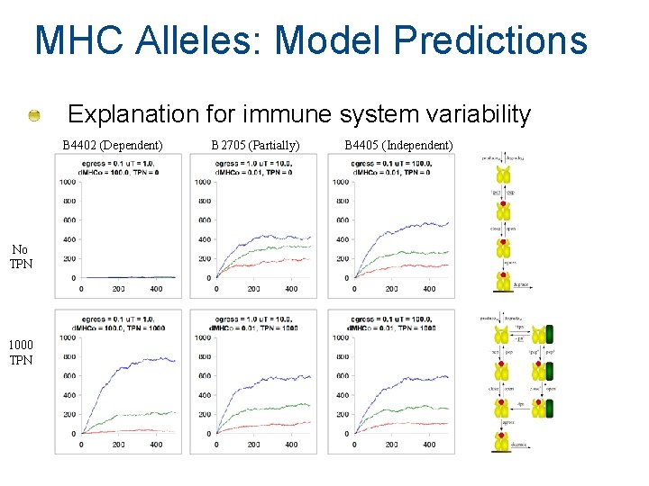 MHC Alleles: Model Predictions Explanation for immune system variability B 4402 (Dependent) No TPN MHC Alleles: Model Predictions Explanation for immune system variability B 4402 (Dependent) No TPN