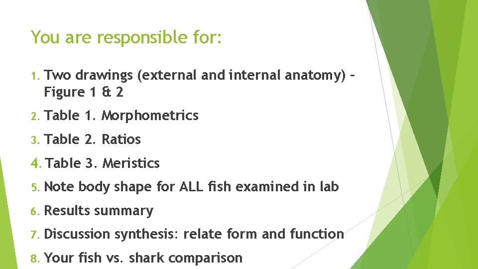 You are responsible for: 1. Two drawings (external and internal anatomy) – Figure 1