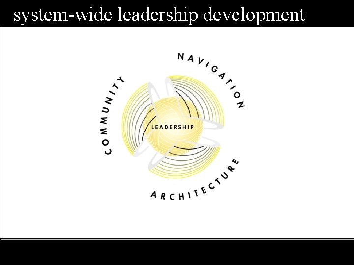 system-wide leadership development 