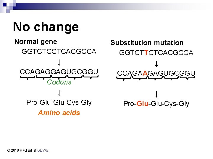 No change Normal gene GGTCTCCTCACGCCA ↓ CCAGAGGAGUGCGGU Codons ↓ Pro-Glu-Cys-Gly Amino acids © 2010