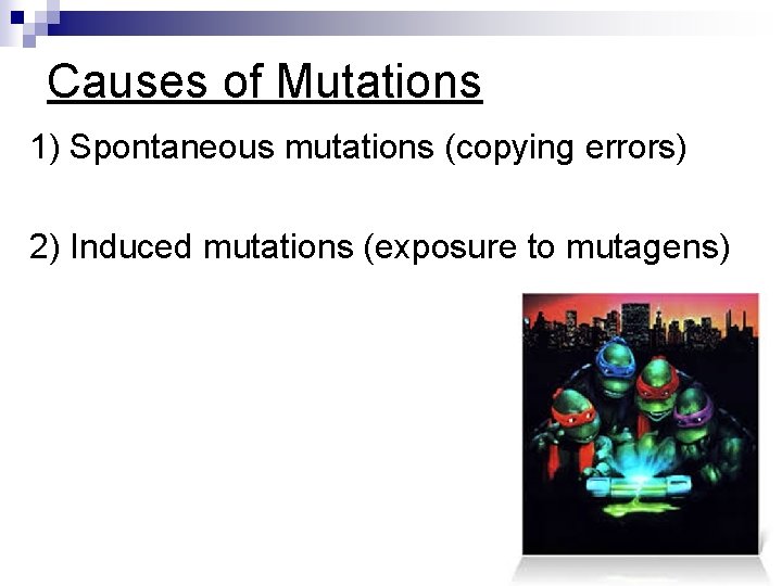 Causes of Mutations 1) Spontaneous mutations (copying errors) 2) Induced mutations (exposure to mutagens)