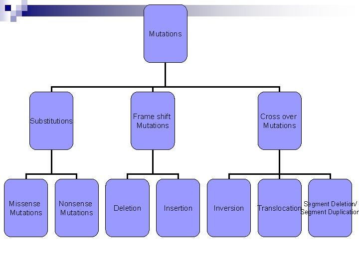 Mutations Substitutions Missense Mutations Nonsense Mutations Frame shift Mutations Deletion Insertion Cross over Mutations