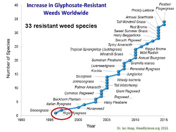 33 resistant weed species 